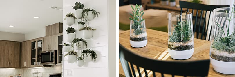 Spring refresh - terrariums and wall hangings