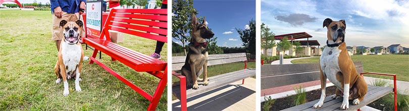 Explore Brookfield Residential’s communities with dog parks
