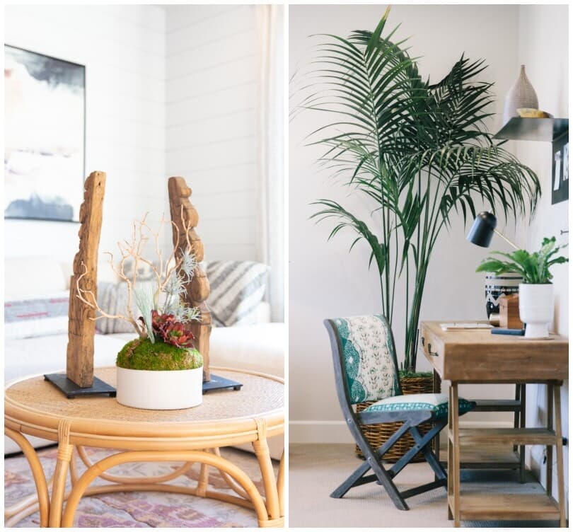 Indoor plants in the living and office spaces in homes by Brookfield Residential