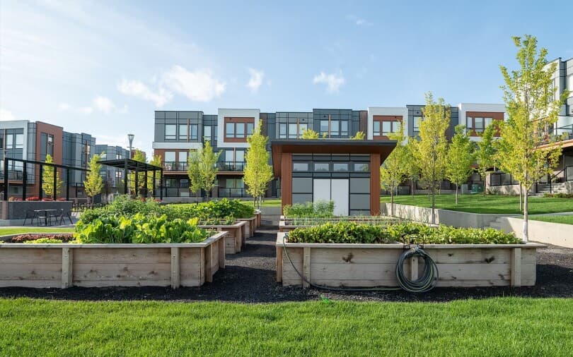 Community garden at The Ivy at University District by Brookfield Residential in Calgary AB
