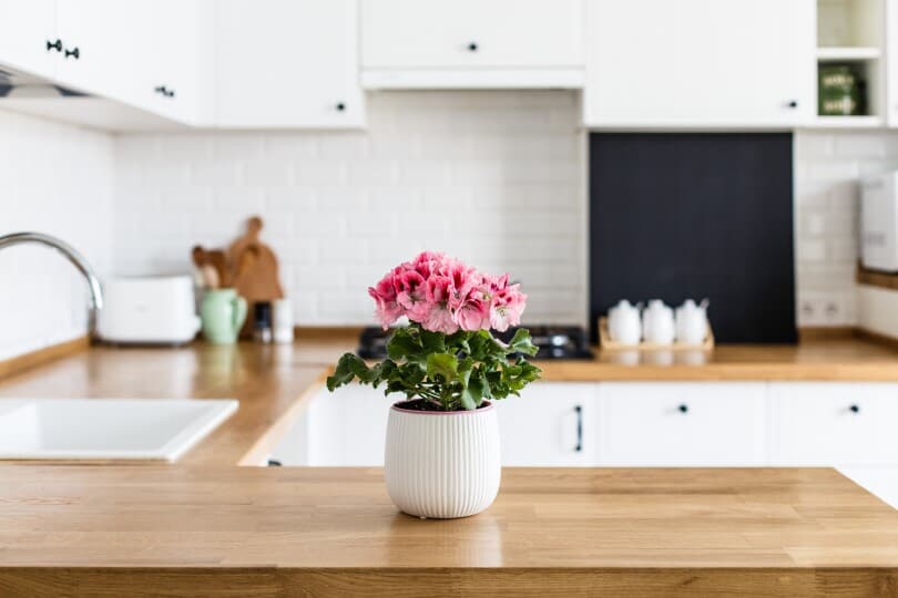Pink geraniums in a white pot on a butcher block counter in a white kitchen