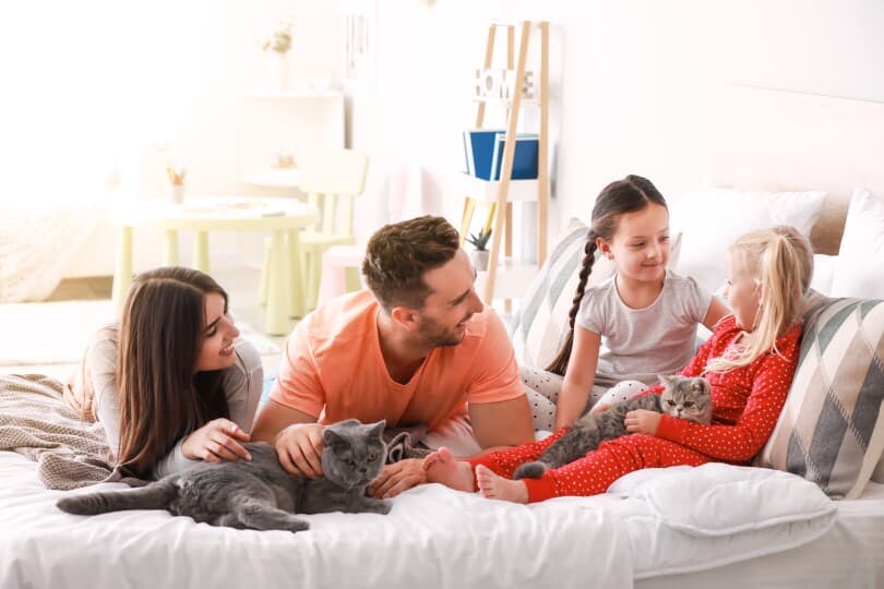 Happy family with two cats snuggled in their bed