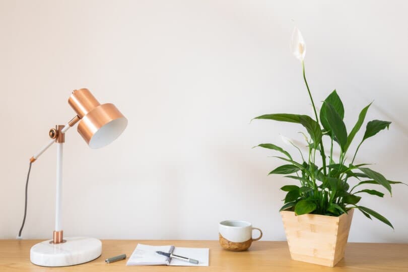 Peace lily house plant with coffee and notepad, pen and copper lamp