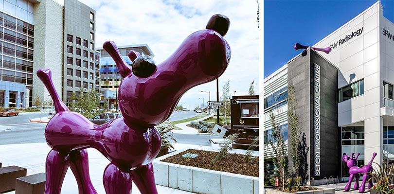 Boney, the nine-foot purple dog, brings unique excitement to the vibrant community of Seton in Calgary, Canada
