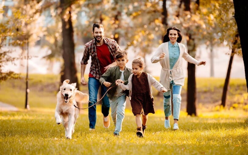 Family running with their dog in a park in Baxter, ON