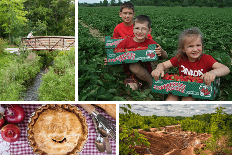 Clockwise from top left: biking along the Caledon Trailway, picking strawberries at Downey’s Farm (photo via Downey’s Farm), the Cheltenham Badlands (photo via Ontario Trails) and an apple pie from Spirit Tree Estate Cidery’s bakery (photo via Spirit Tree Estate Cidery).