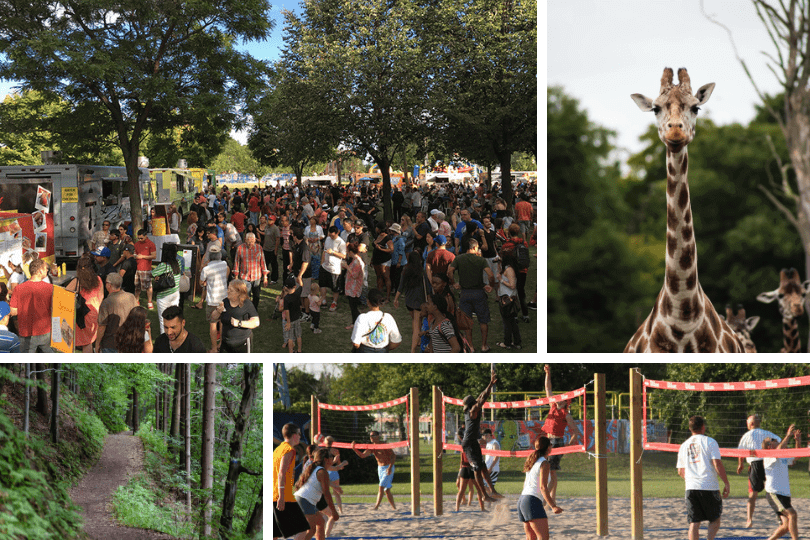 Clockwise from top left: the Pickering Food Truck Festival (photo via Canadian Food Truck Festivals), a giraffe at the Toronto Zoo, beach volleyball on the shores of Lake Ontario (photo via the City of Pickering) and a trail in one of Pickering’s many forested areas.