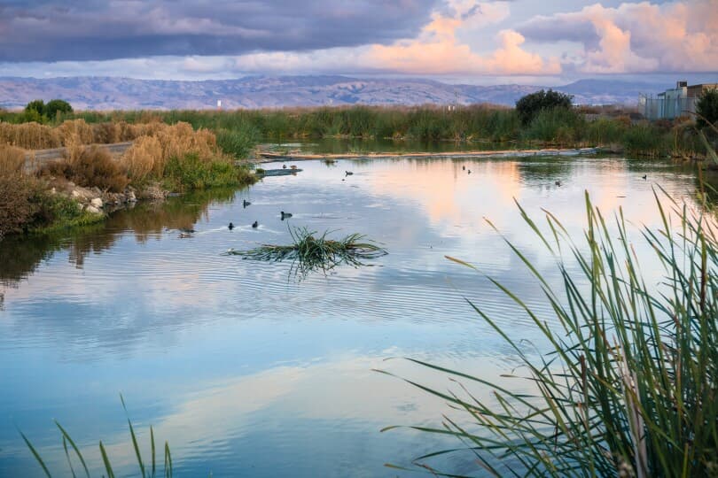 Sunset landscape of the marshes of south San Francisco bay, Sunnyvale, California