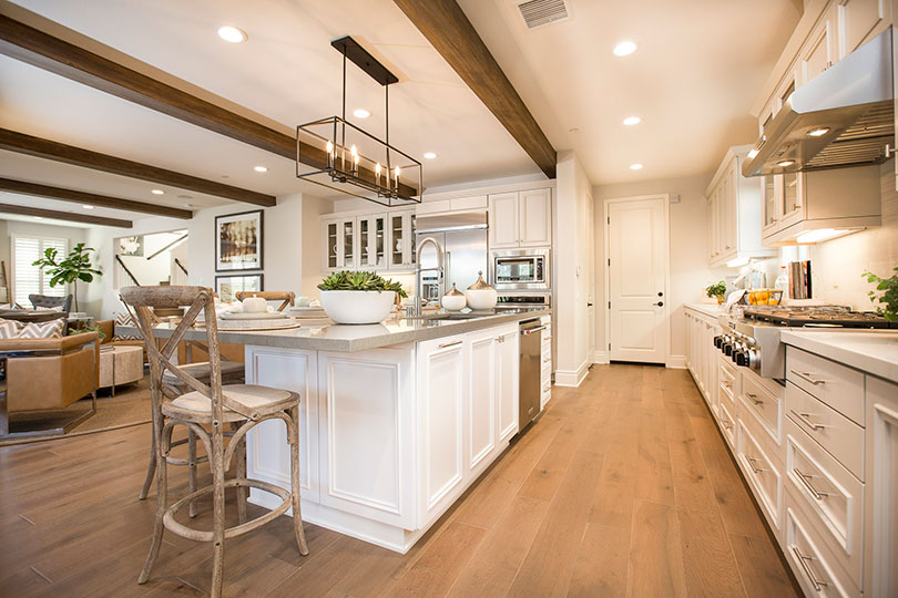 Inspired Kitchens in Our Southern California Homes