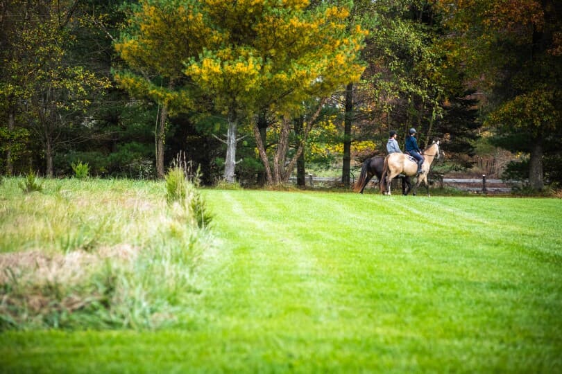 Two people on horseback in Loudoun County, VA